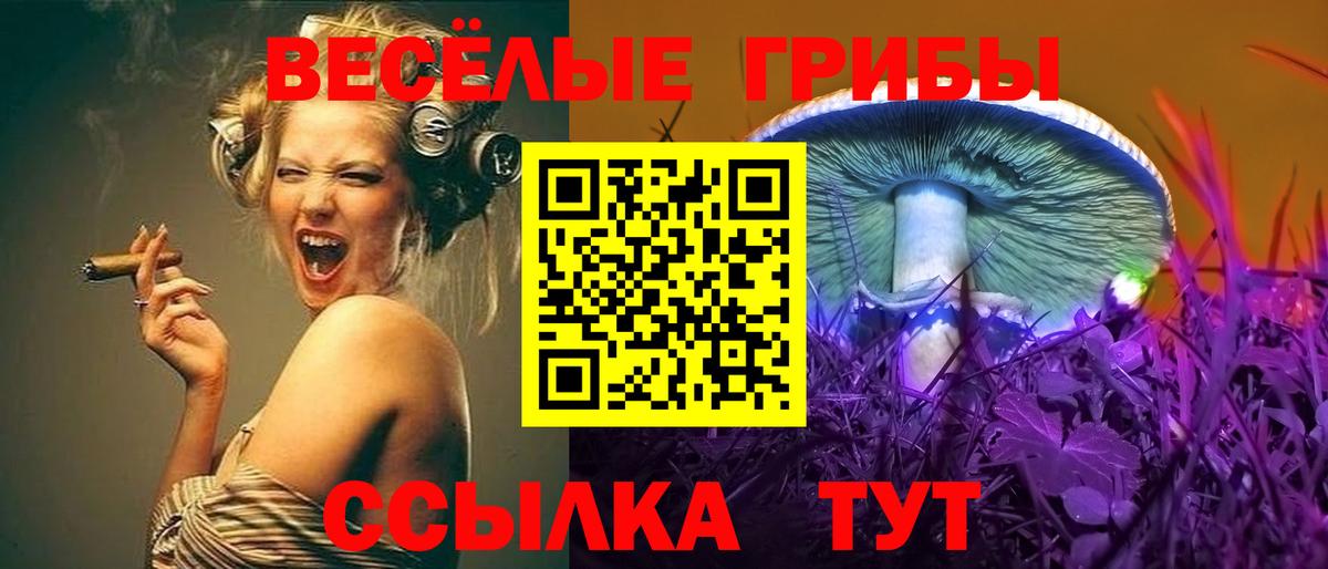 Псилоцибиновые грибы GOLDEN TEACHER  Вход с VPN  Красный Сулин 