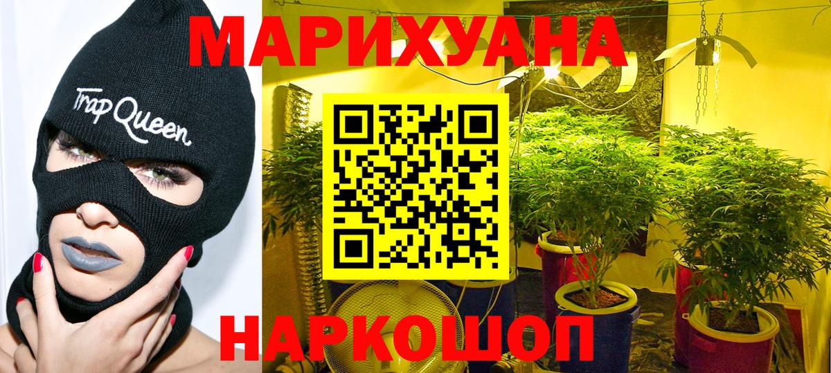 Шишки марихуана семена Красный Сулин